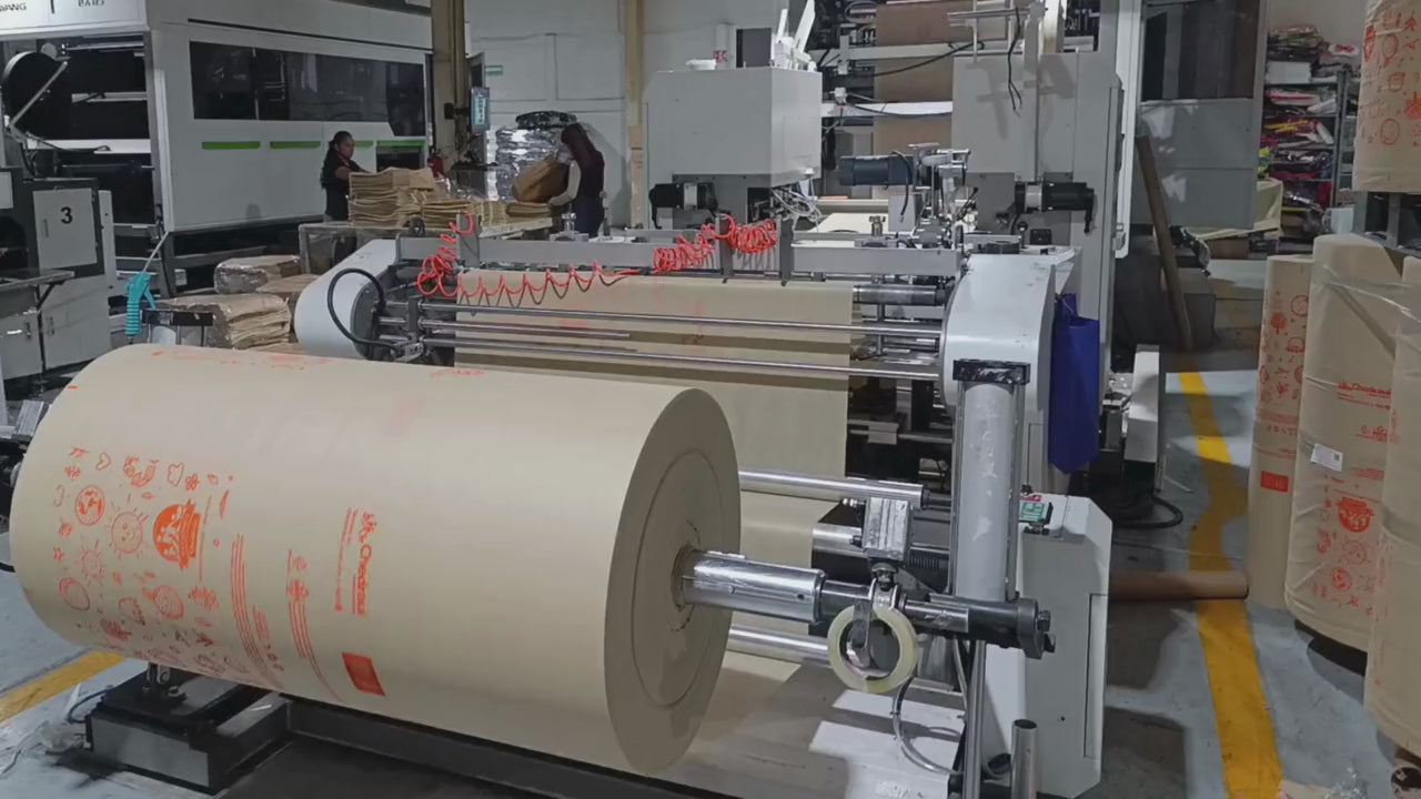 Video Bolsas Ecológicas Bag Solutions